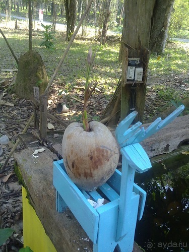 Таиланд - на море