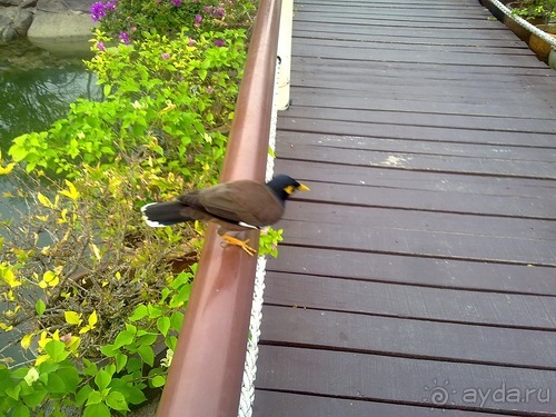 Таиланд - на море