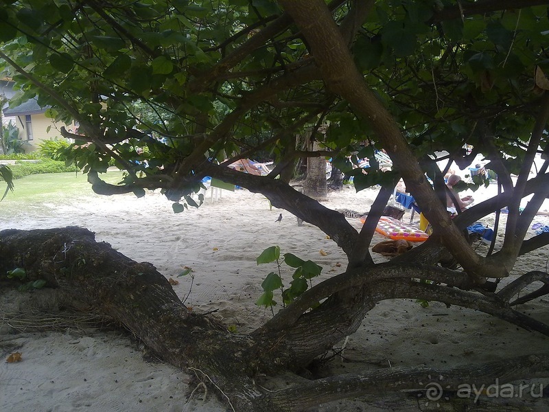 Таиланд - на море