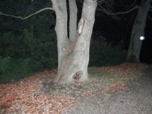 Аахен - город Карла Великого