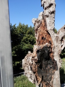 Monte Sant Angelo - место явления архангела Михаила