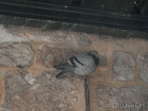 Иерусалим, день первый