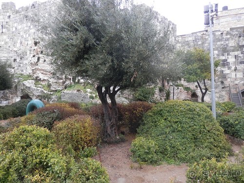 Иерусалим, день первый