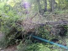 Массандра и прогулка по Ялте