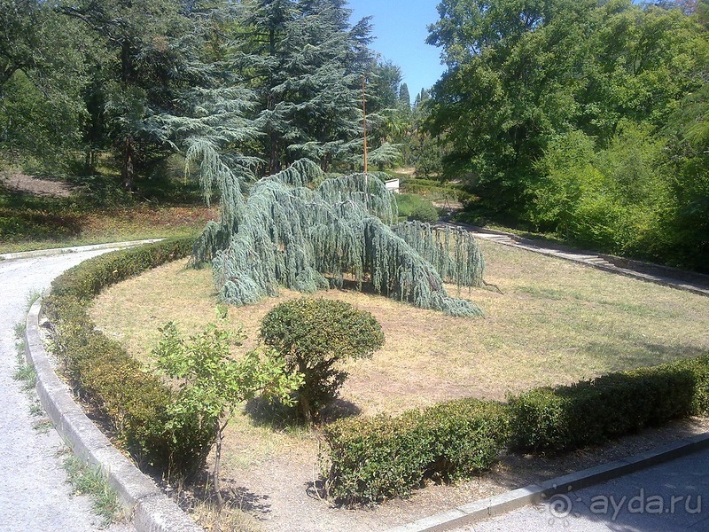 Массандра и прогулка по Ялте