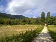 Массандра и прогулка по Ялте