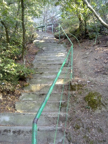 Массандра и прогулка по Ялте