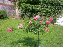 Массандра и прогулка по Ялте