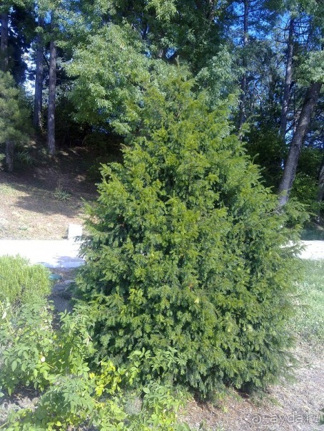 Массандра и прогулка по Ялте