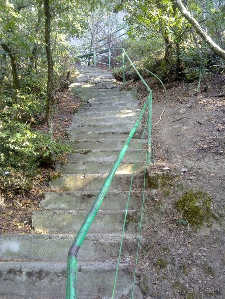 Массандра и прогулка по Ялте