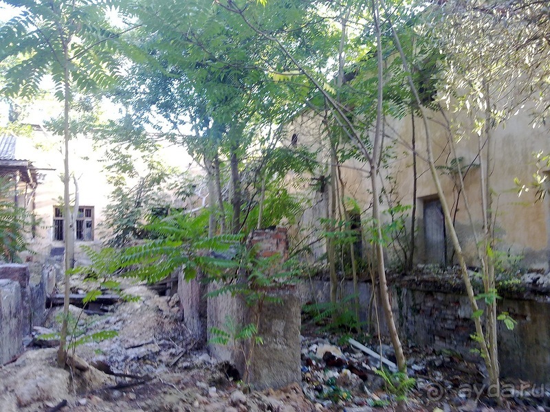 Массандра и прогулка по Ялте