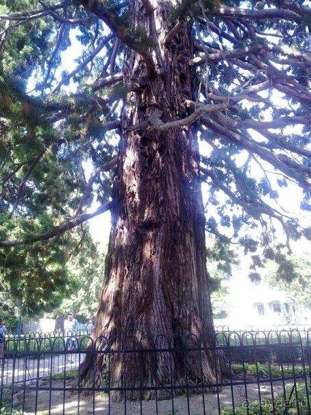 Массандра и прогулка по Ялте