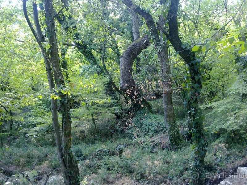 Массандра и прогулка по Ялте