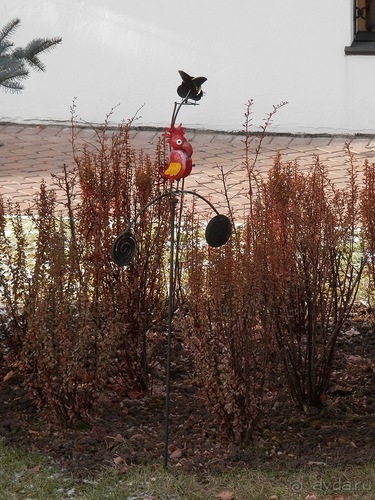 Суздаль, день второй
