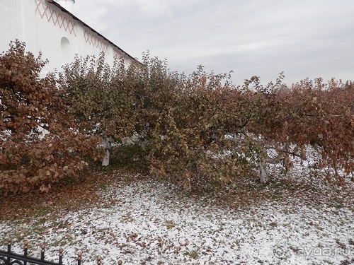 Суздаль, день второй