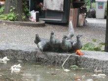 И снова Италия