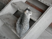 Суздаль, день первый