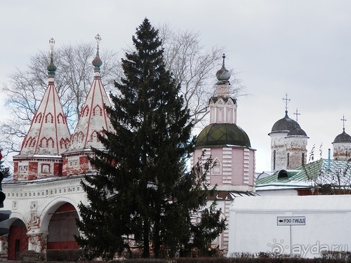 Альбом отзыва "Суздаль, день первый"