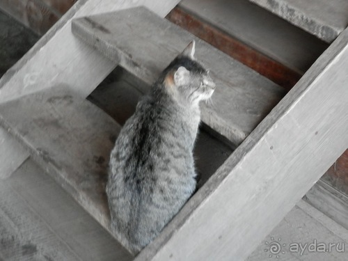 Суздаль, день первый