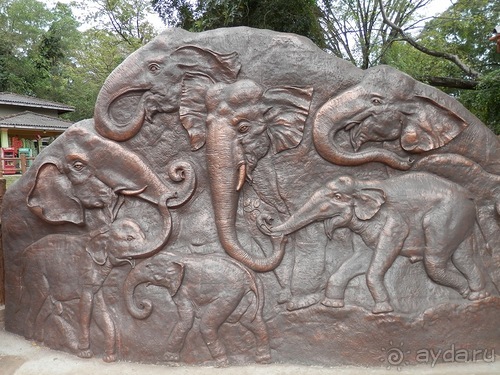 Шри-Ланка - слоновий питомник