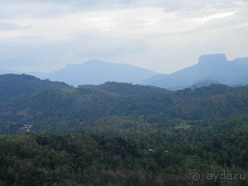 Шри-Ланка - слоновий питомник