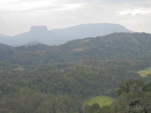 Шри-Ланка - слоновий питомник