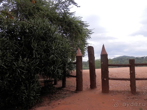 Шри-Ланка - слоновий питомник