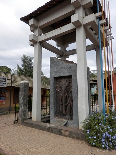 Шри-Ланка - слоновий питомник