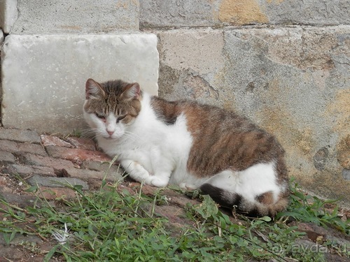 На яхте от Santa Margherita до Portovenere