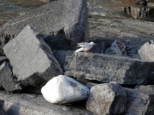 На яхте от Santa Margherita до Portovenere