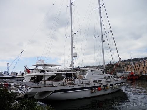 Генуя - аквариум