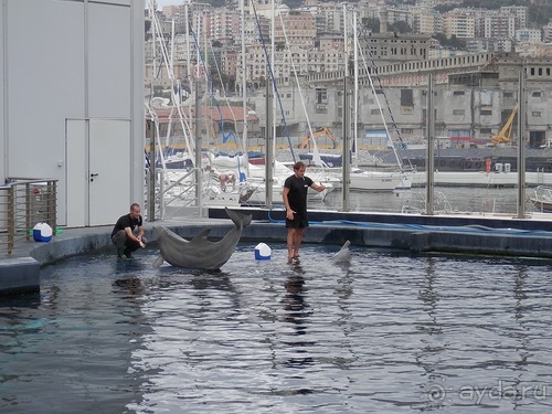 Генуя - аквариум