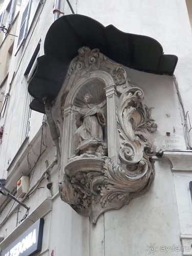 Генуя - аквариум