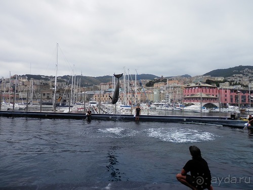 Генуя - аквариум