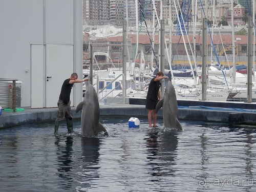 Генуя - аквариум