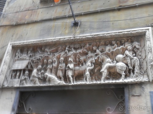 Генуя - аквариум