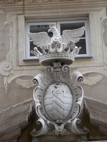 Генуя - аквариум