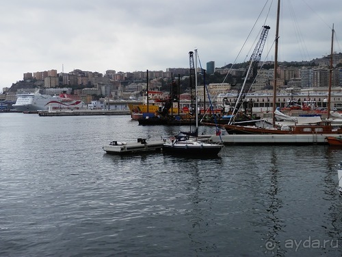 Генуя - аквариум