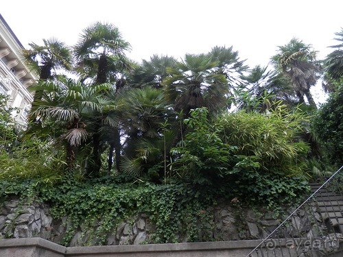 Генуя - аквариум