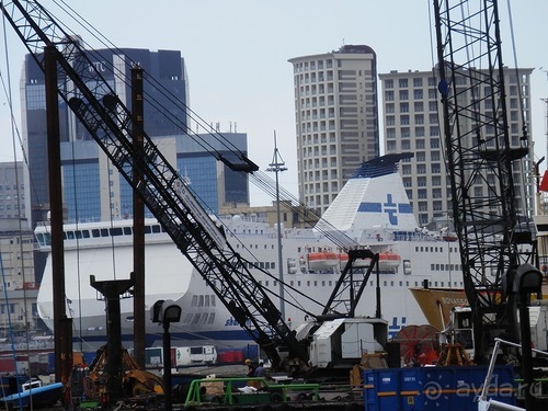 Генуя - аквариум