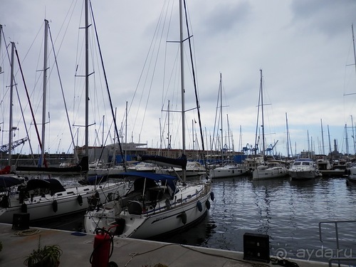 Генуя - аквариум