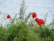 Кронборг - замок Гамлета