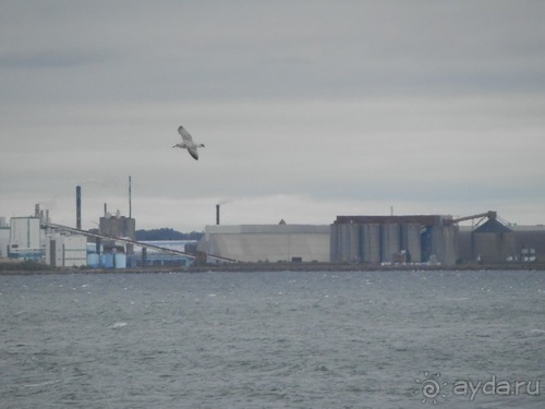 Кронборг - замок Гамлета