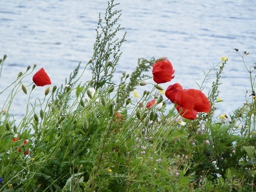 Кронборг - замок Гамлета