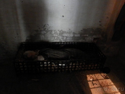 Кронборг - замок Гамлета