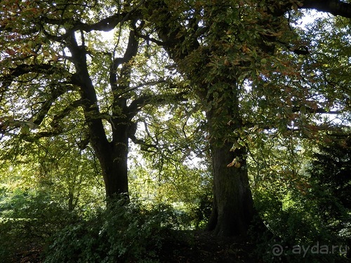 Копенгаген