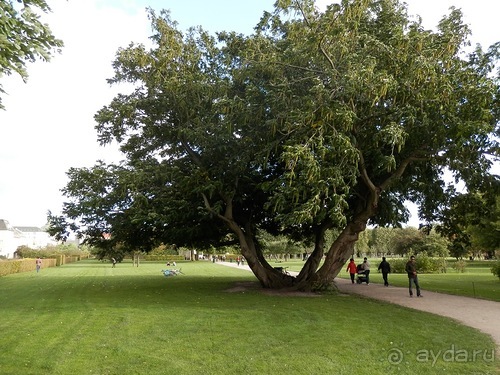 Копенгаген