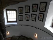 Копенгаген