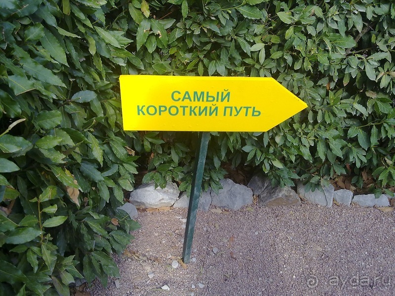 Альбом отзыва "Крым. Никитский ботанический сад"