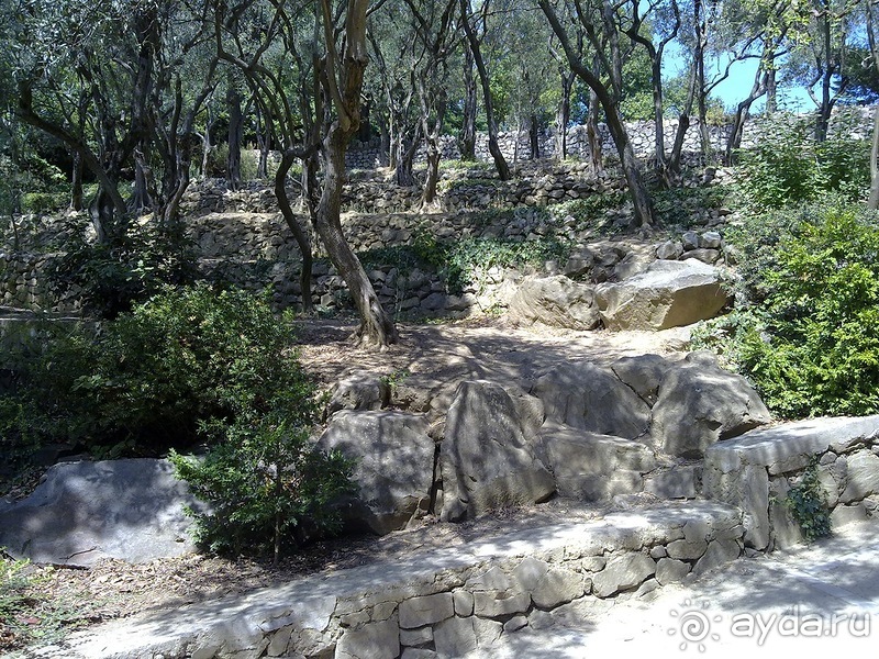 Крым. Никитский ботанический сад